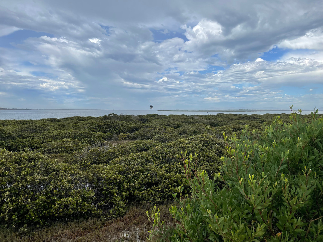 Christopher Robinson Walking Trail-Port Albert必去景点