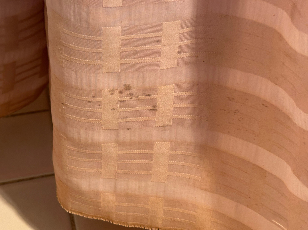 Comfort Inn Bishops Lodge主图