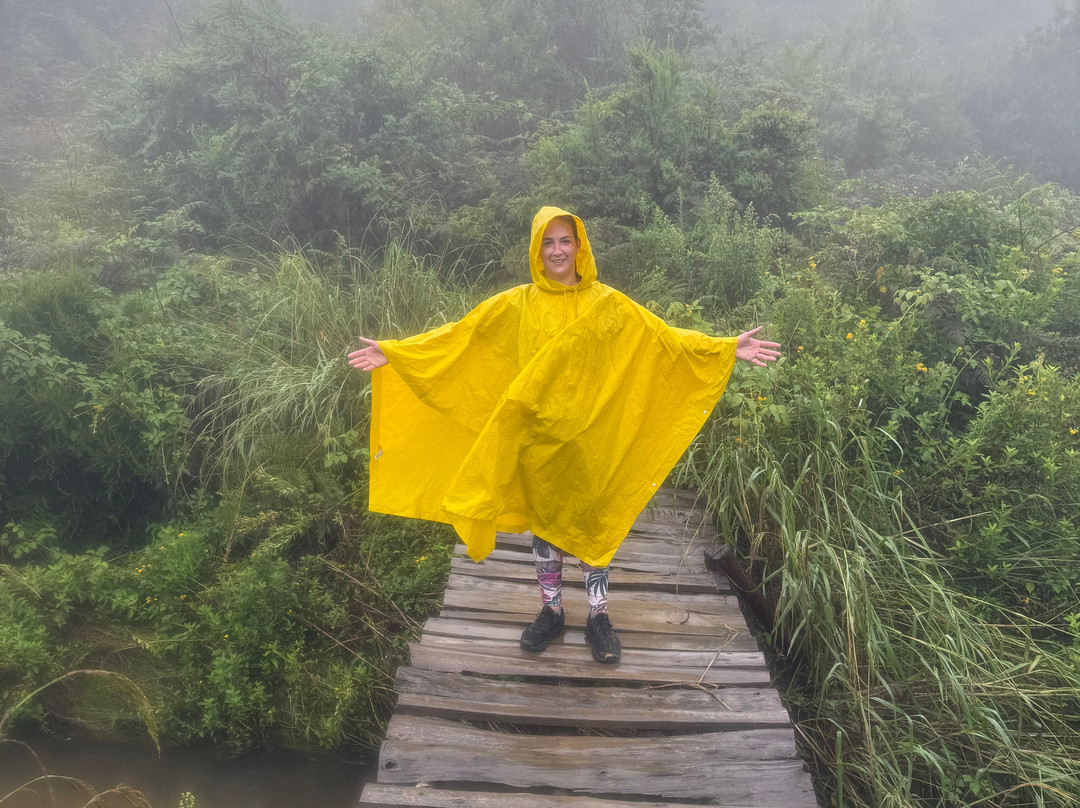 The Adventures Feet-布兰岱必去景点