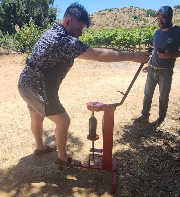 Viña Ranquilhue-Pumanque必去景点