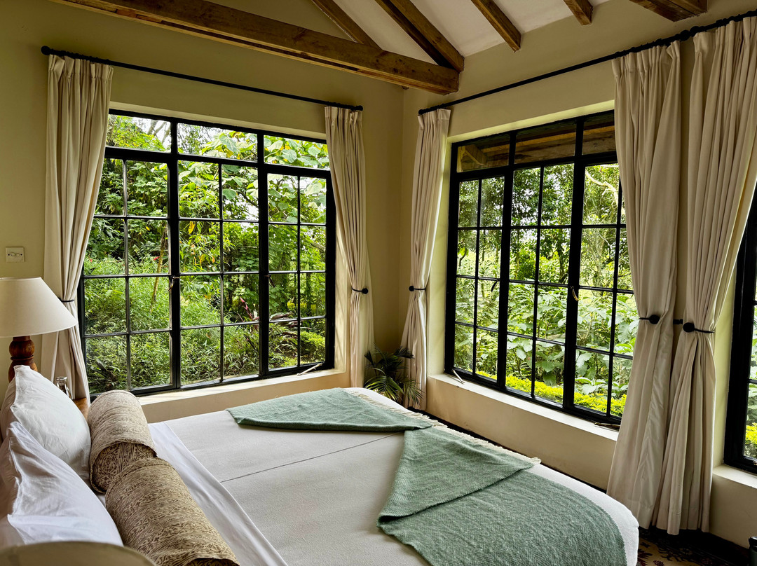 Clouds Mountain Gorilla Lodge主图