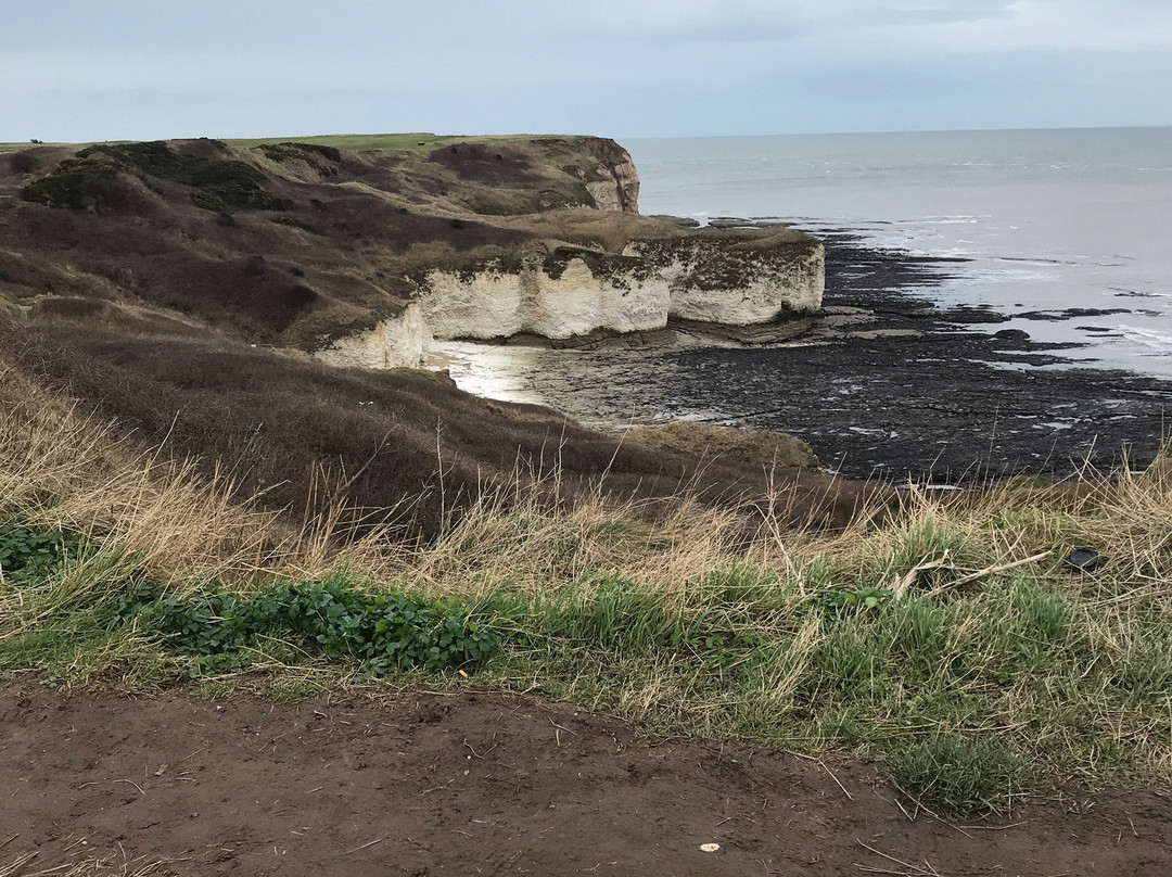 FLamborough Outer Headland景点图片