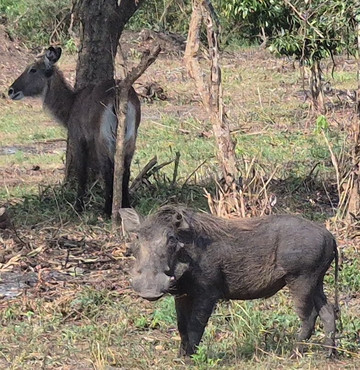 Frena Adventures-吉佳利必去景点