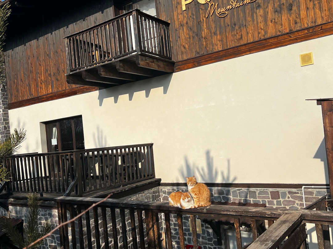 Potcoava Mountain Hideaway主图