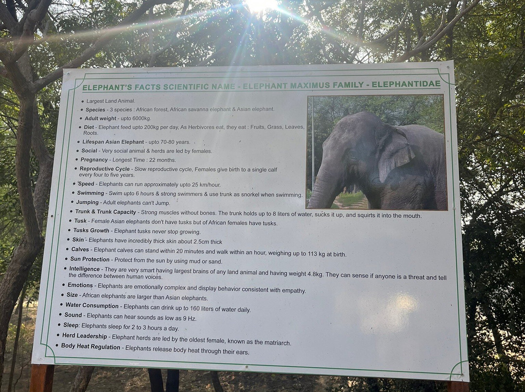 Hathi Gaon Elephant Village景点图片