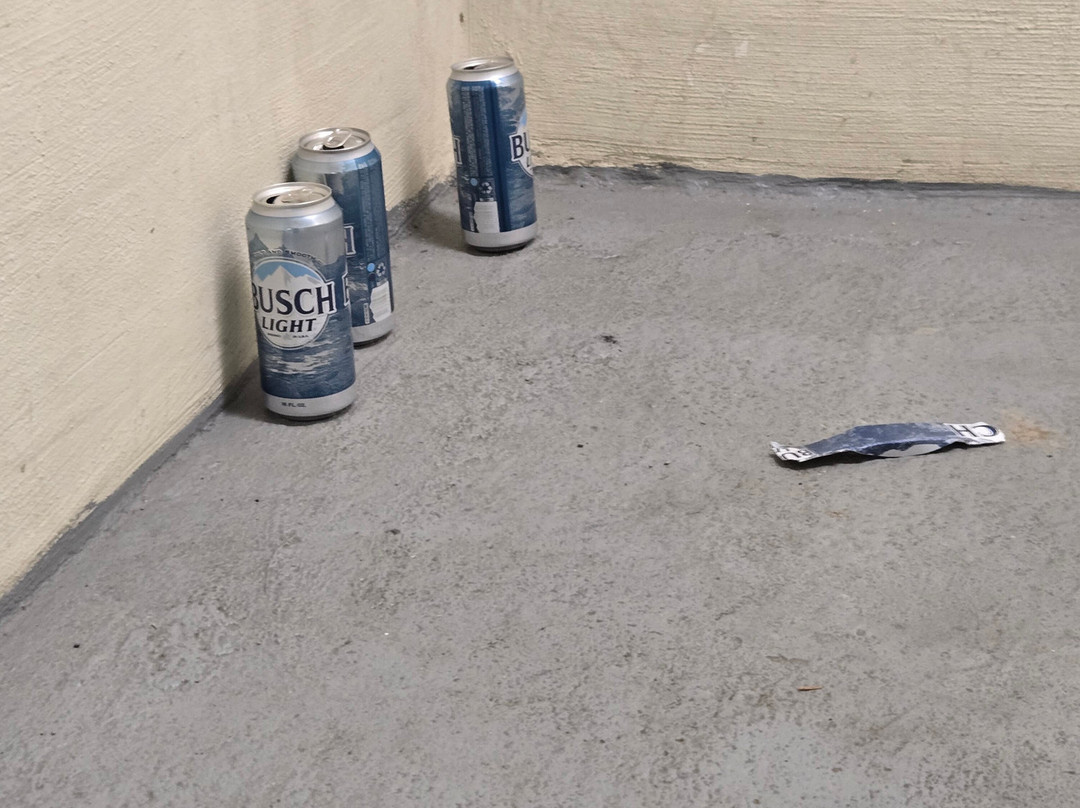 Comfort Inn & Suites Piqua-Near Troy-I75主图