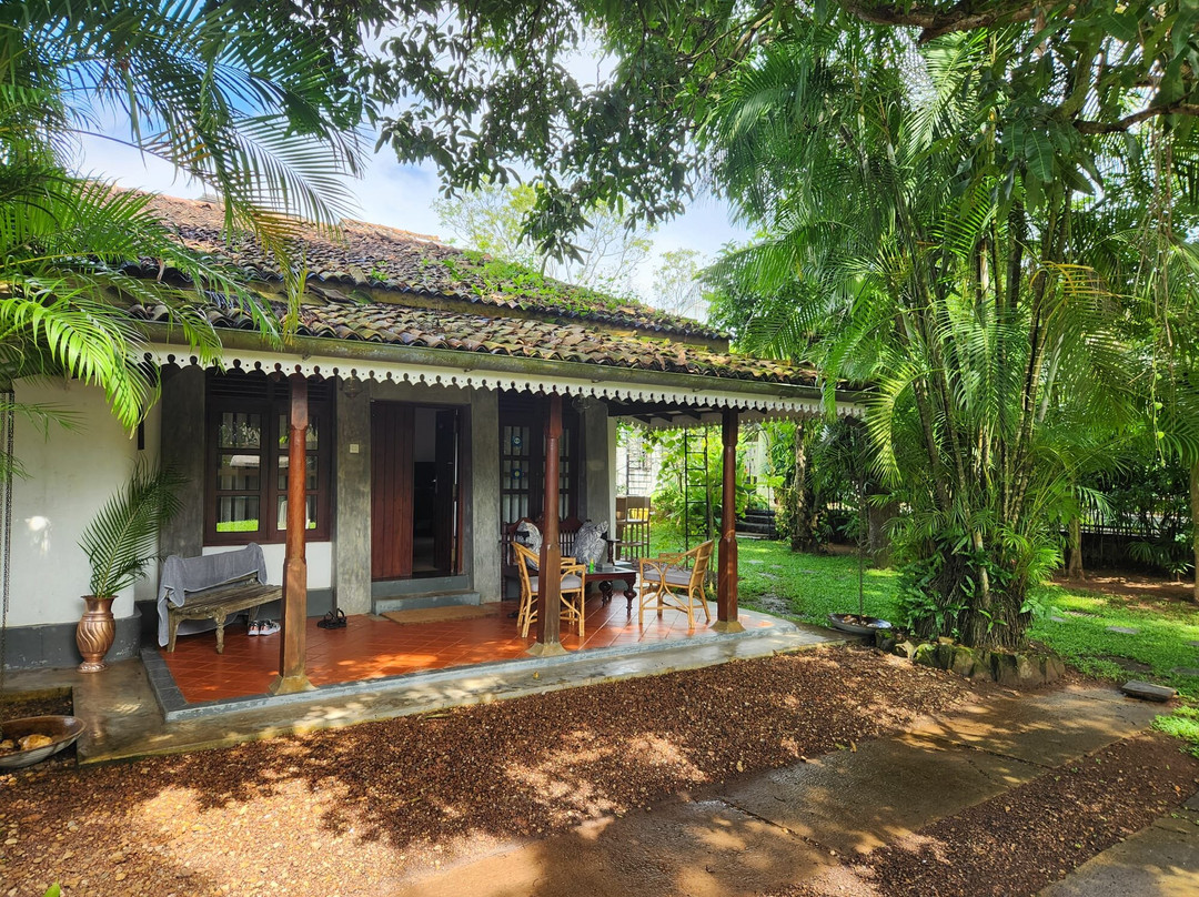 Bilin Tree House主图