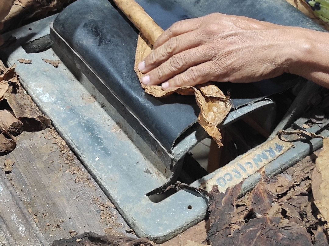 Zemis Tobacco and Cigars Factory-圣地亚哥必去景点