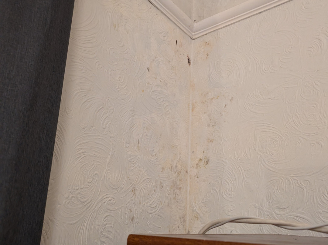 The Knoll Guesthouse主图