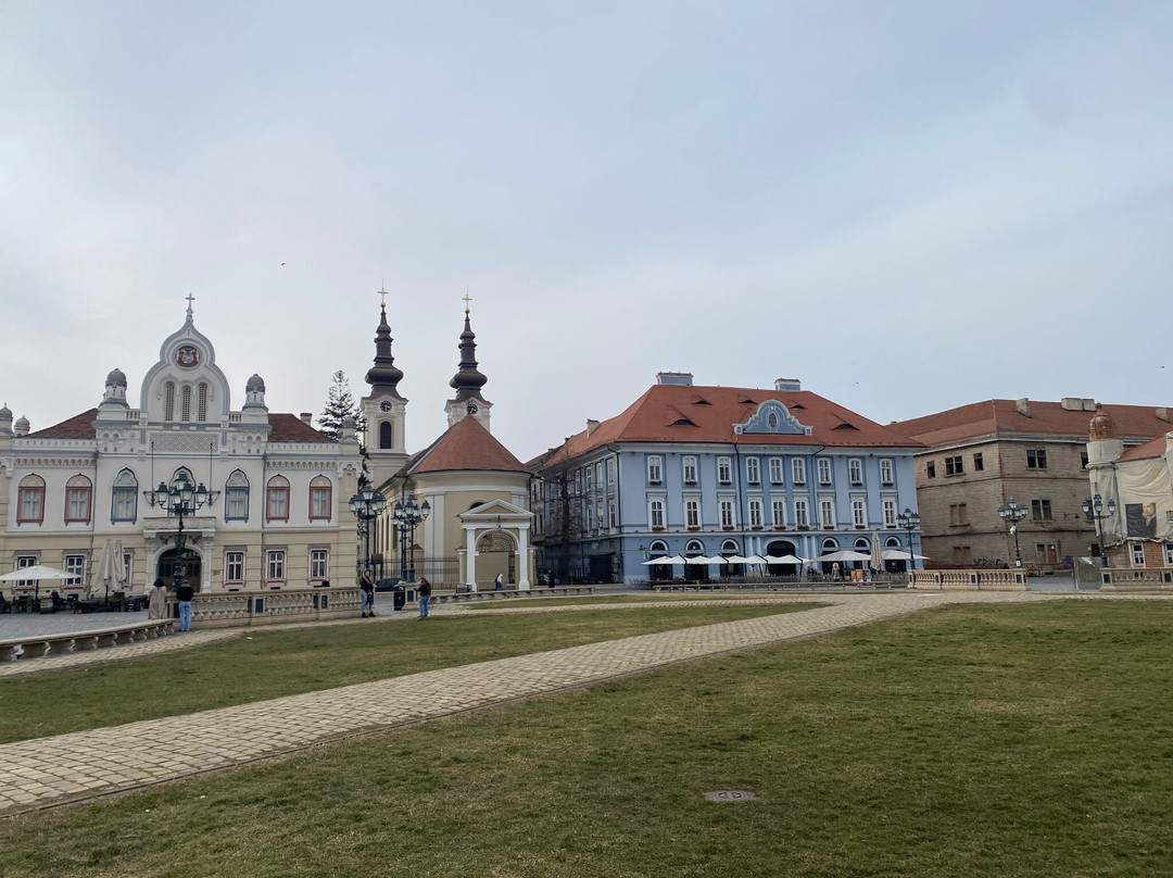 Timisoara Free Tours景点图片