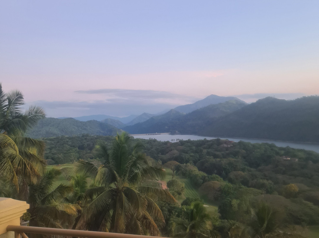 The Albatross, Kandy主图