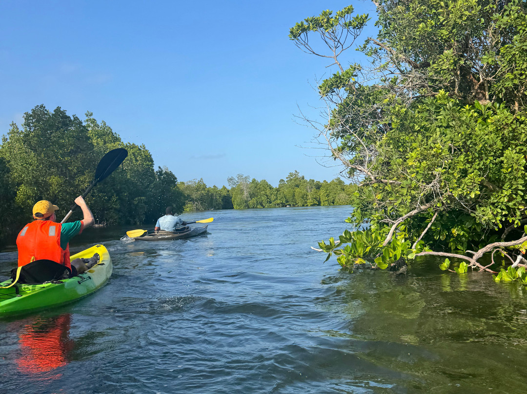Bwejuu Mangrove Tunnels Kayak-必韦久必去景点