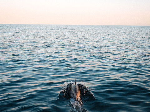 Boat Charter La Duquesa-马尼尔瓦必去景点