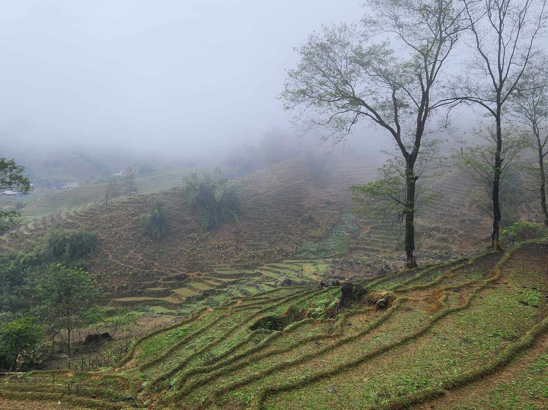 Sapa Tours Vietnam景点图片
