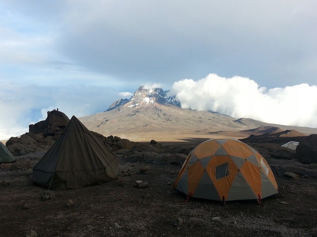 Kilita Tours & Safaris