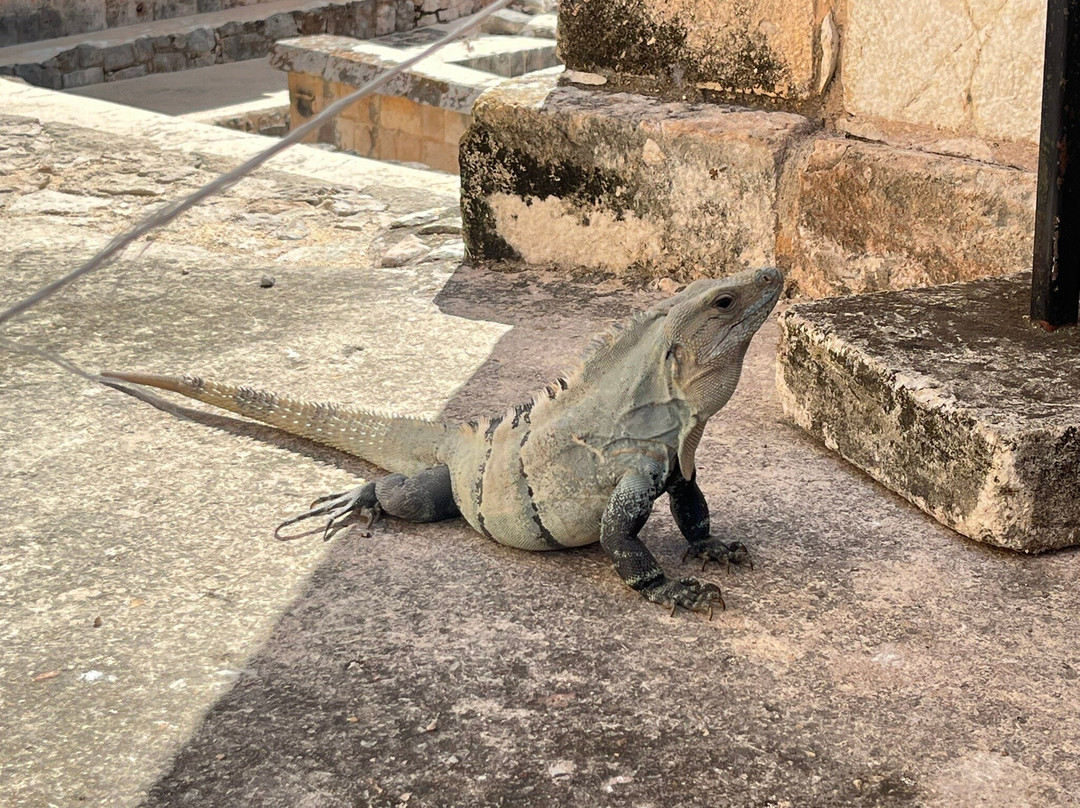 Yucango-梅里达必去景点