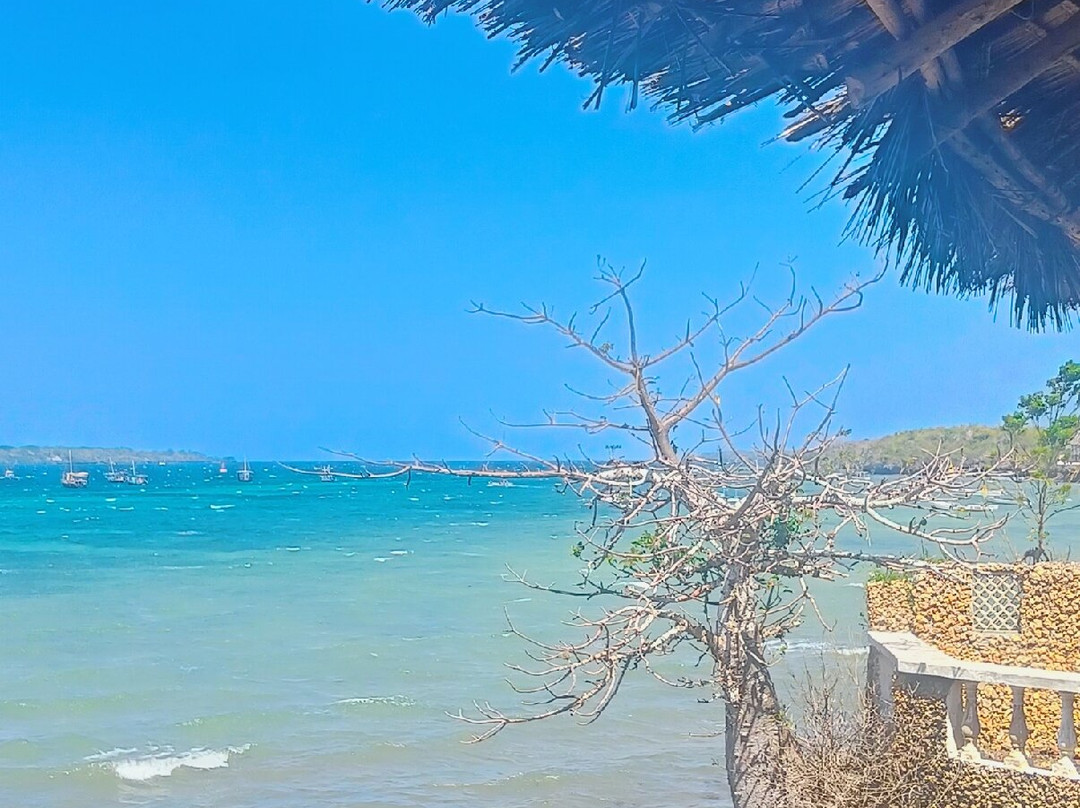 Full Day Wasini Island Dolphin Tour From Mombasa/Diani-Wasini Island必去景点