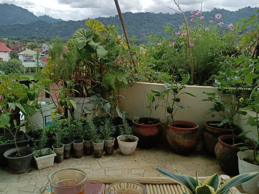 Sulawesi Castle主图