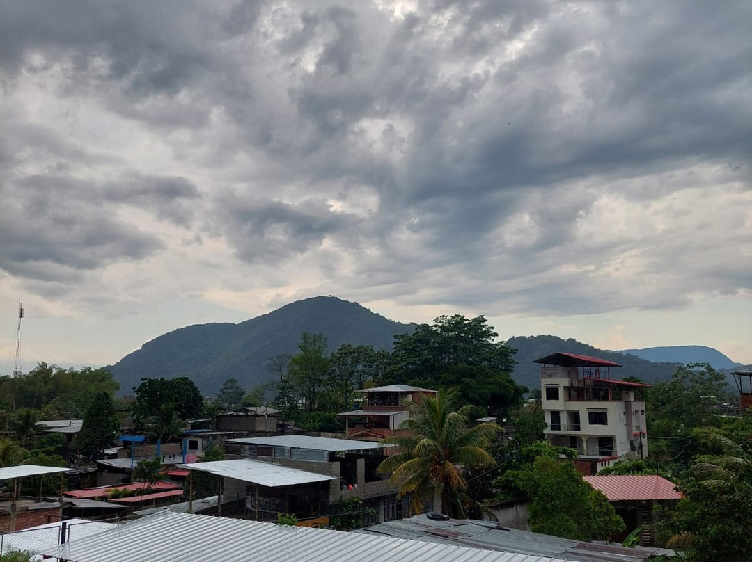 Parque Nacional Tingo Maria-Huanuco必去景点