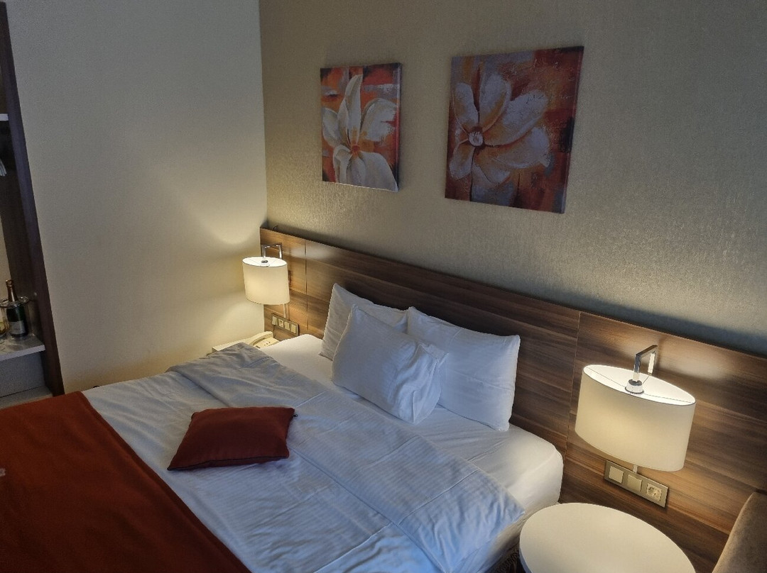 Hotel Schwarzbachtal Hideaway主图