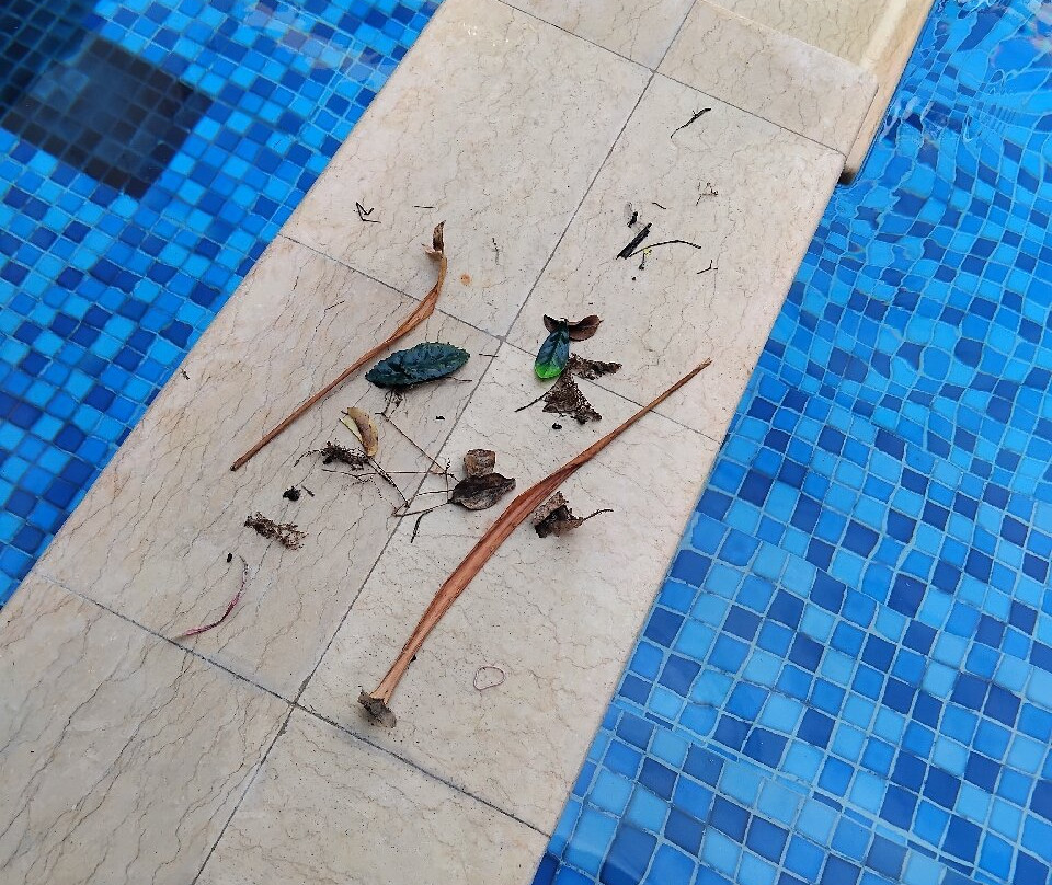 卡塞雷斯别墅酒店主图