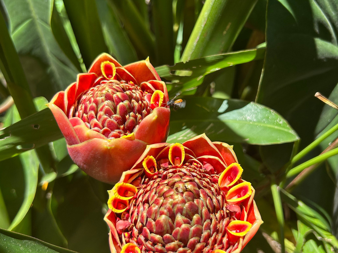 Hotel Brillasol Airport主图