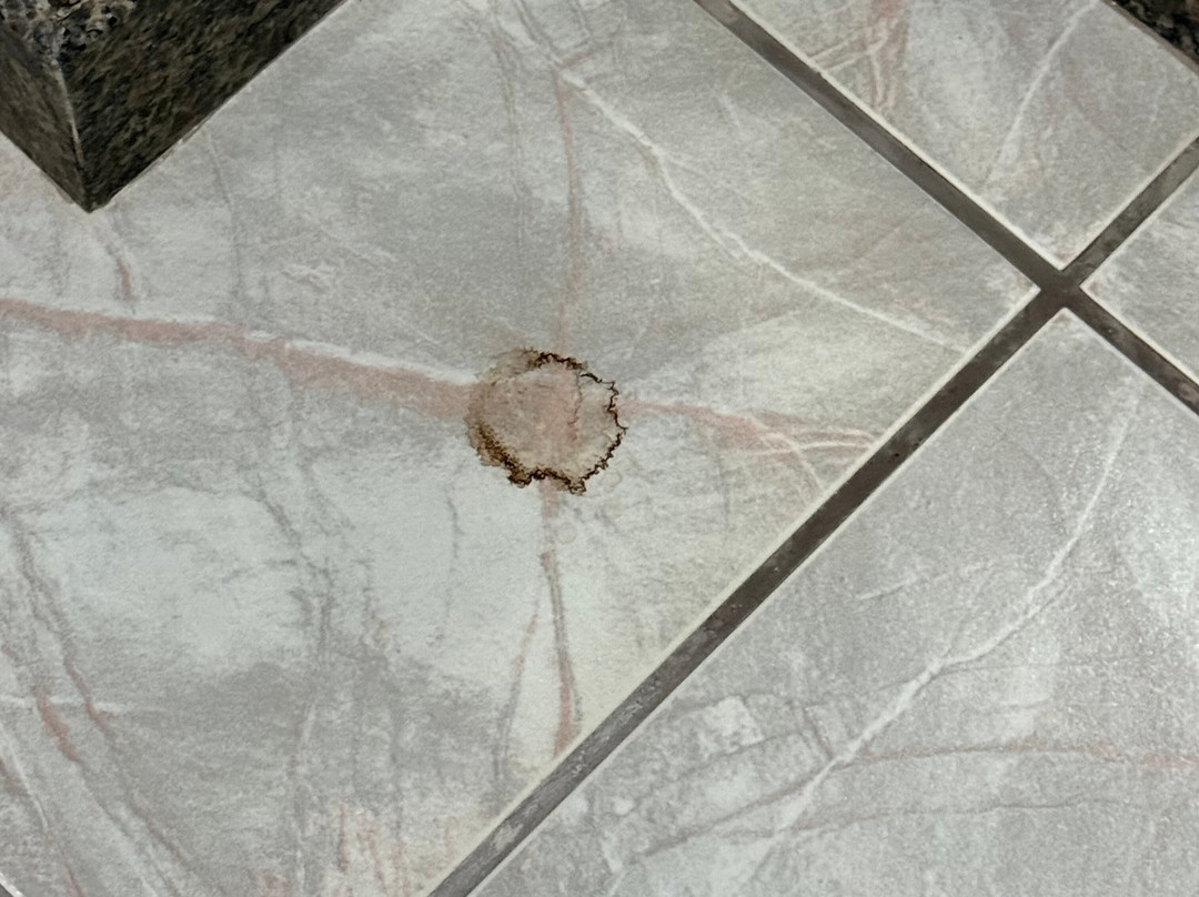 Icaraí Tower Hotel主图