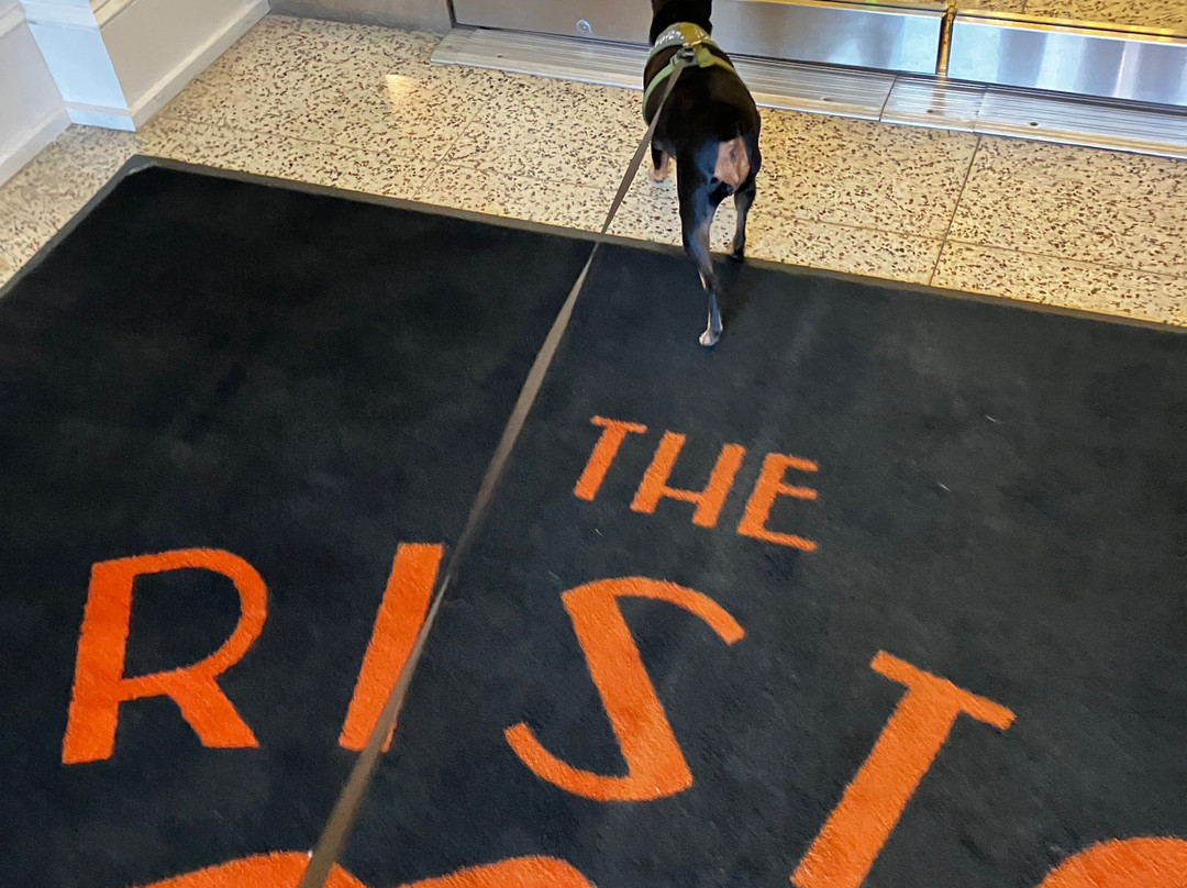 The Bristol Hotel主图