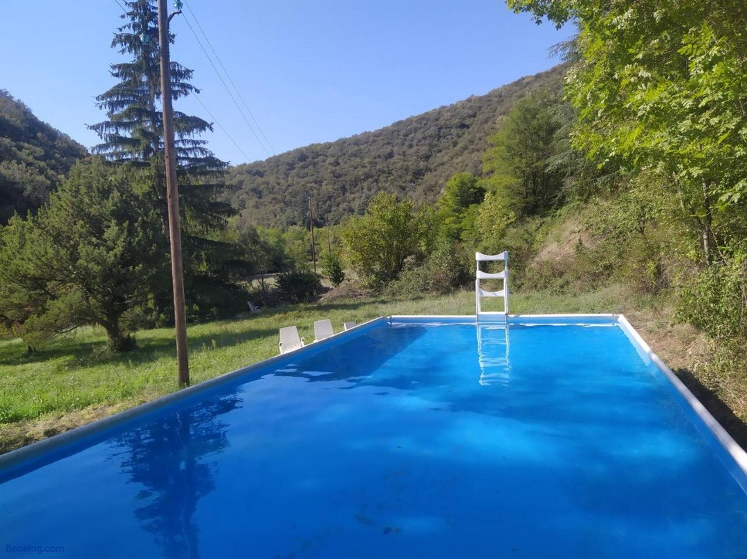 Auberge La Grenouille