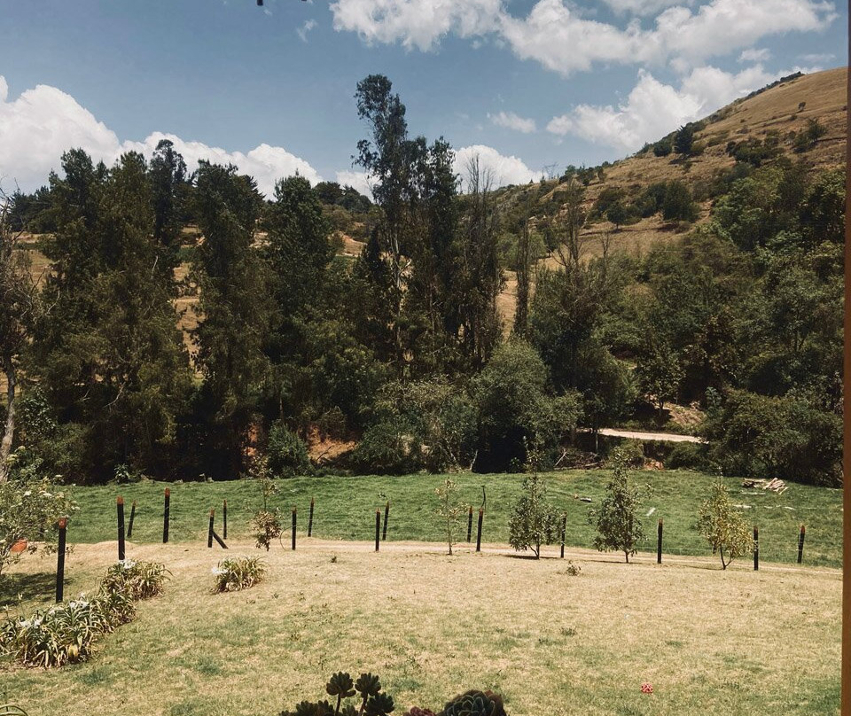 Finca Cantaclaro Y Petroglifos Pajarito景点图片
