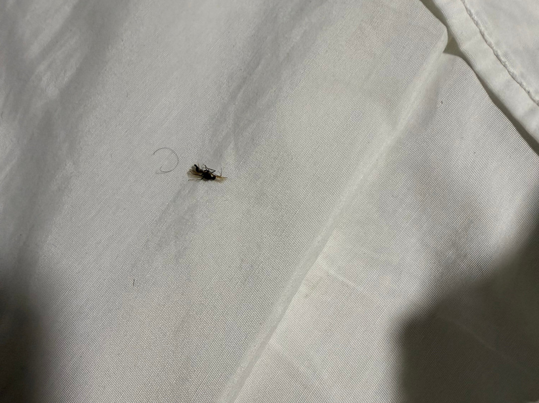 Pousada Recanto Das Árvores主图