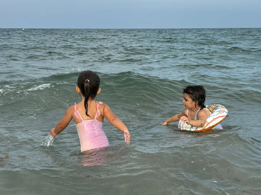 Platja del Postiguet景点图片