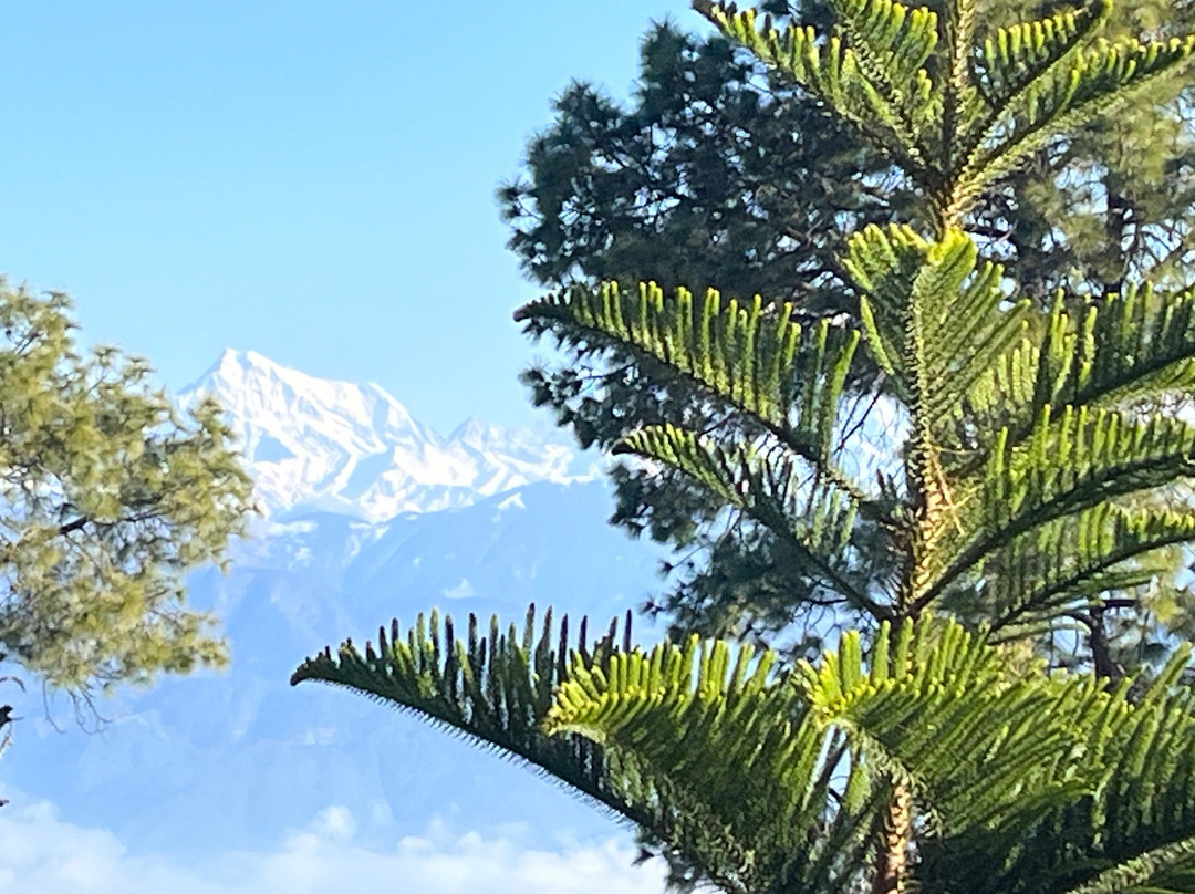 KMVN Tourist Rest House Trishul