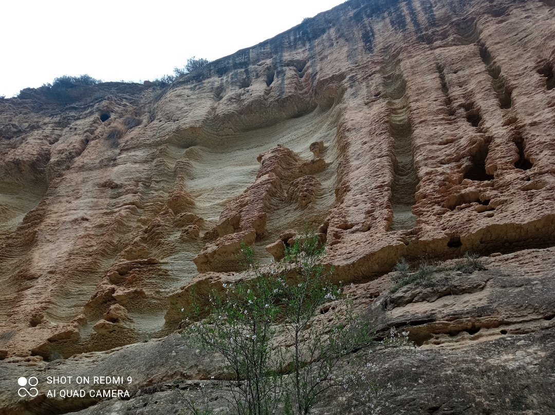 RF Natura景点图片