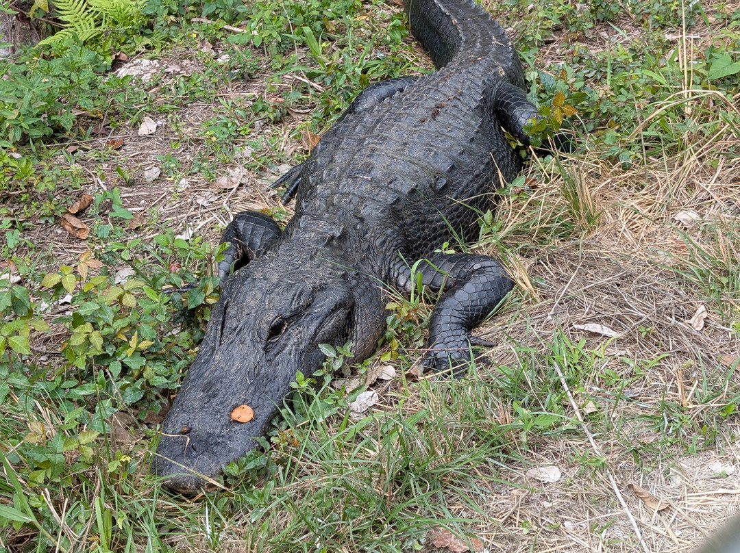 Loop Road-奥乔皮必去景点
