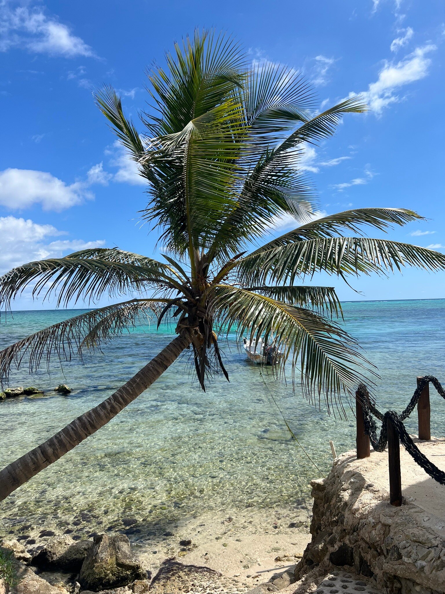 Casa Cenote Hotel-官方