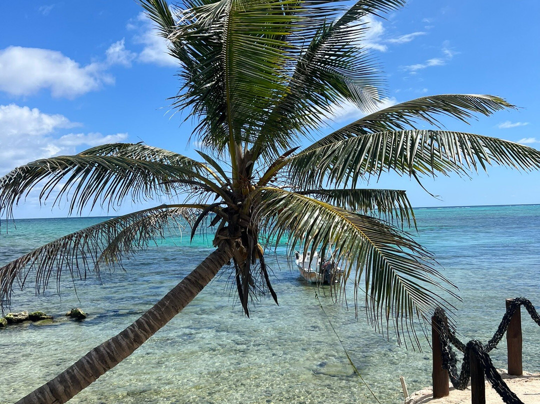 Casa Cenote Hotel主图