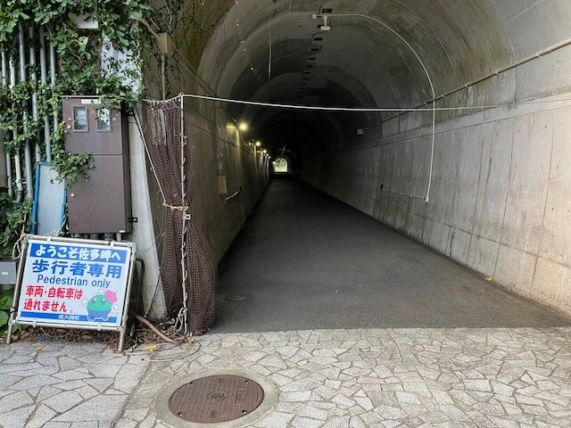Cape Sata Observatory Deck/ Park景点图片