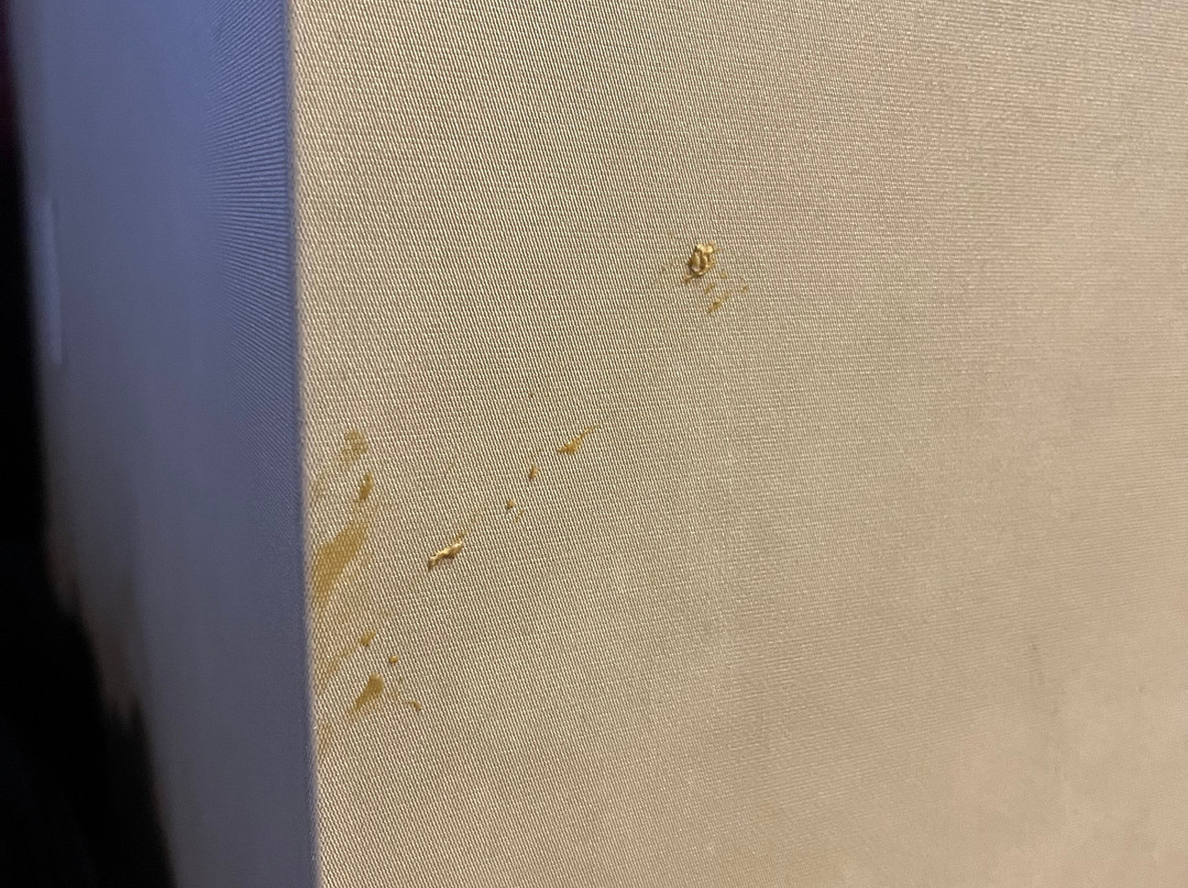 Homewood Suites by Hilton Toronto Vaughan主图