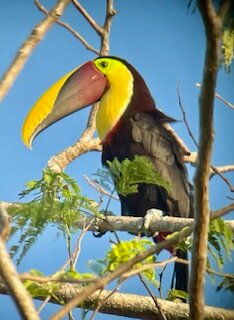 Bosque del Cabo Rainforest Lodge-浴室