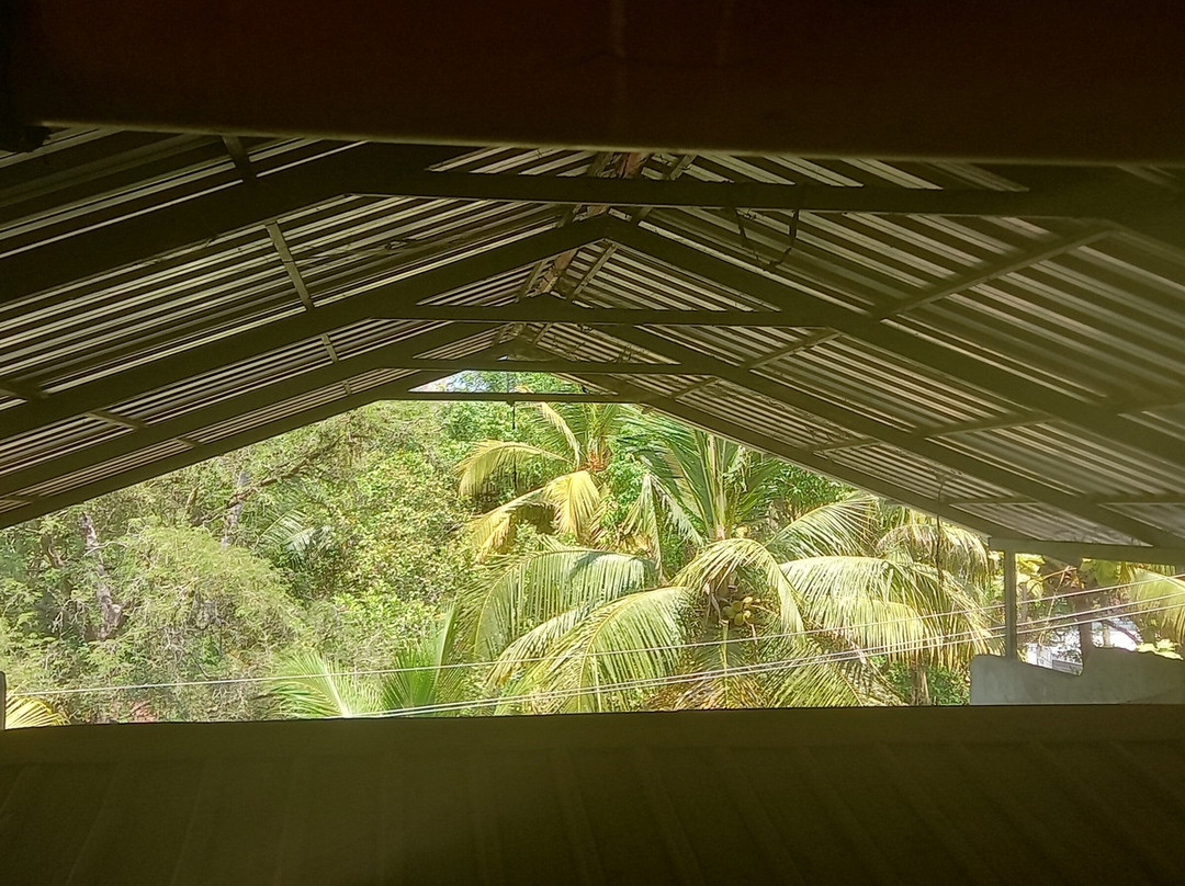 Matt India Ayurveda Centre-阿拉普扎必去景点