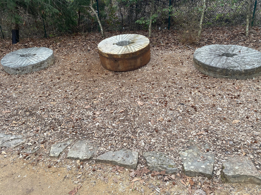 Historic Yates Mill County Park景点图片
