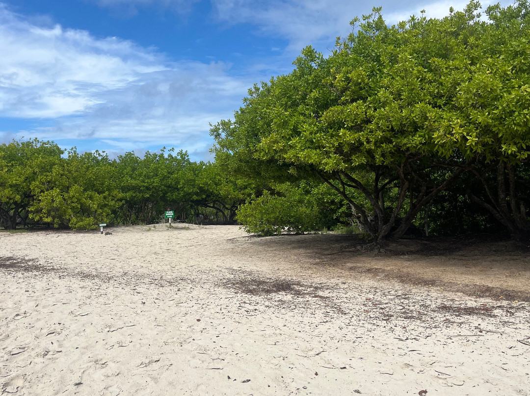 Hotel Galapagos Tortuga Bay主图