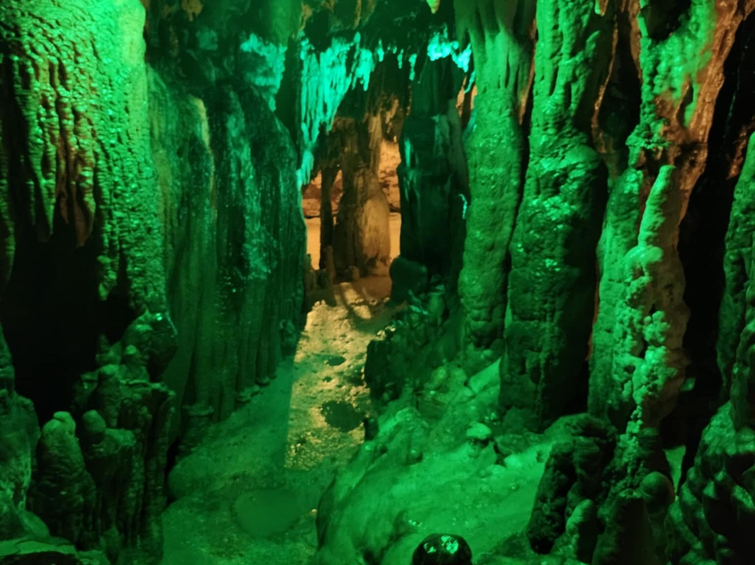 Florida Caverns State Park景点图片