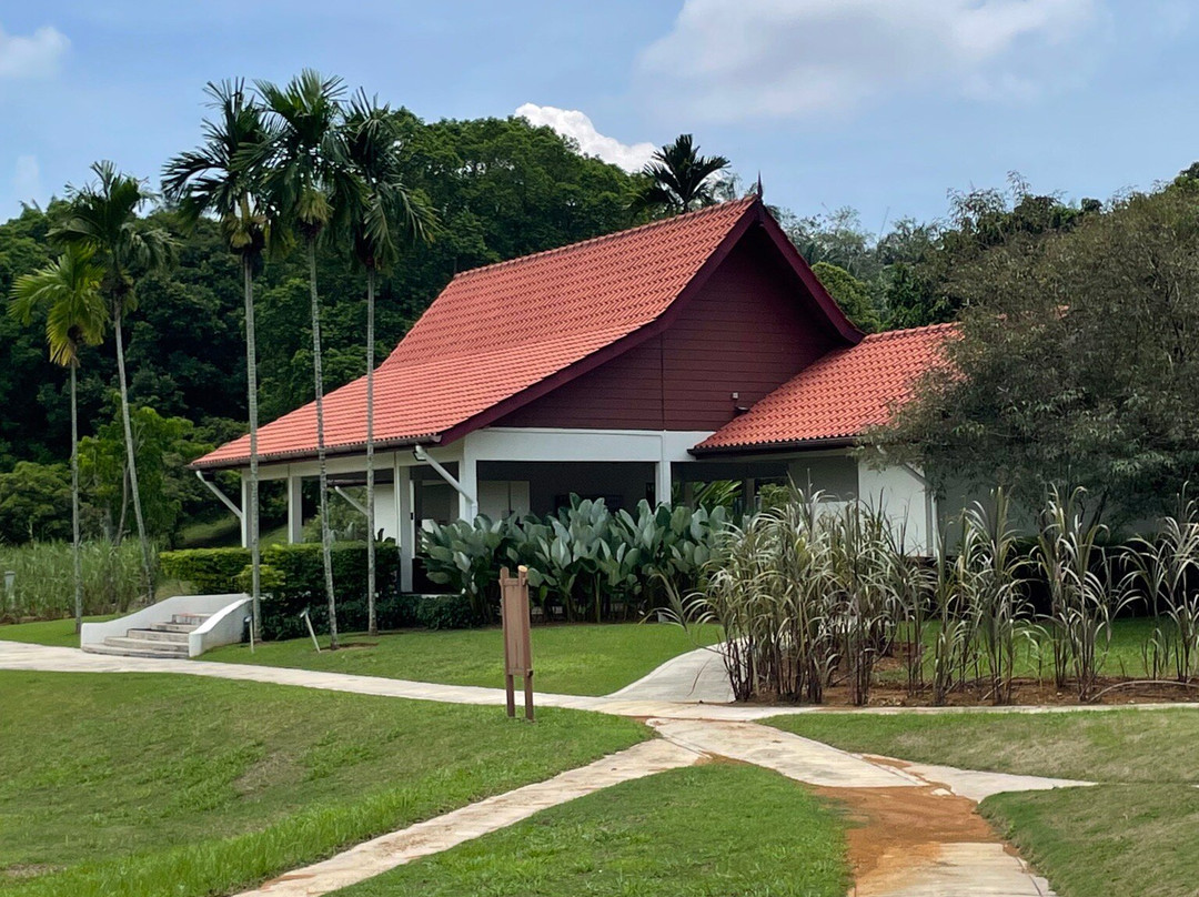Putrajaya Botanical Garden-太子城必去景点
