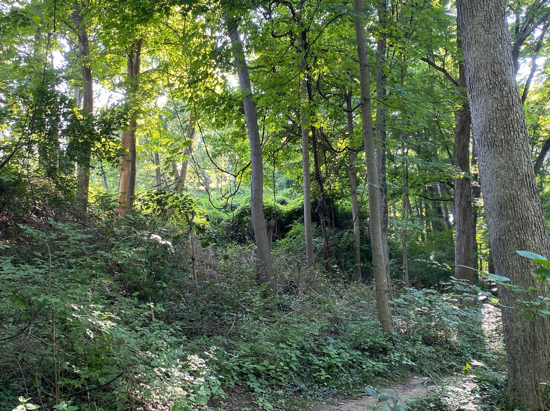 Ault Park-辛辛那提必去景点