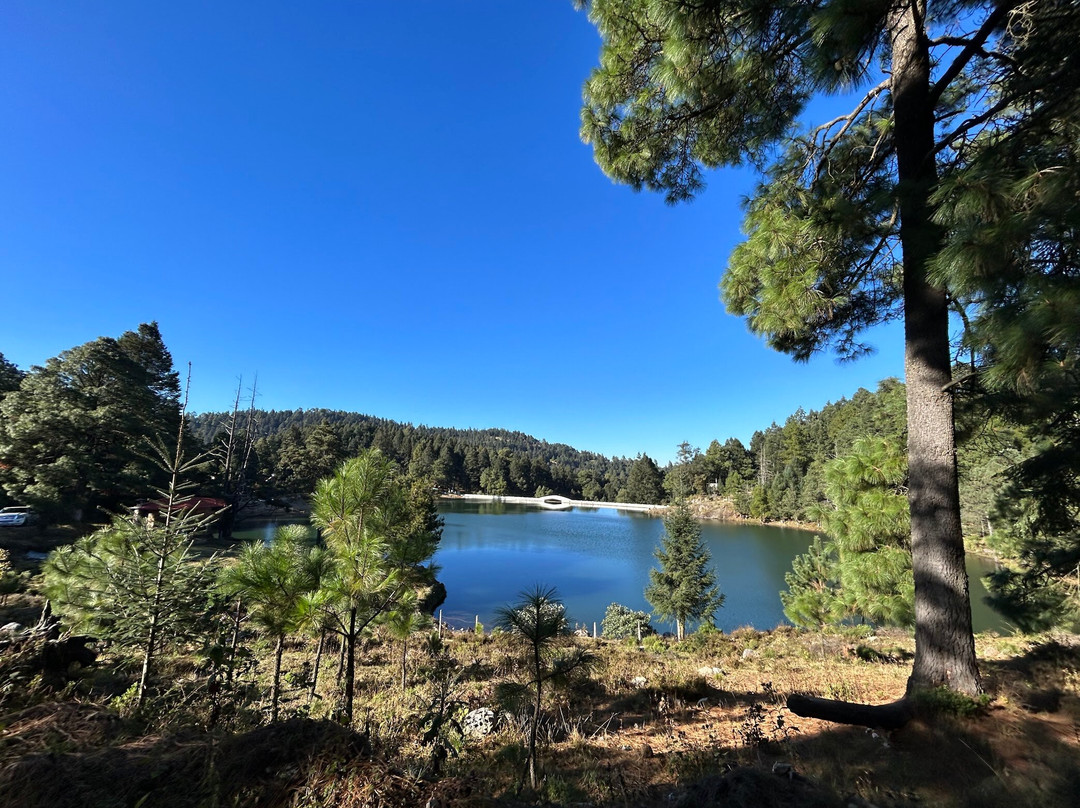 Unfolia-Naucalpan必去景点