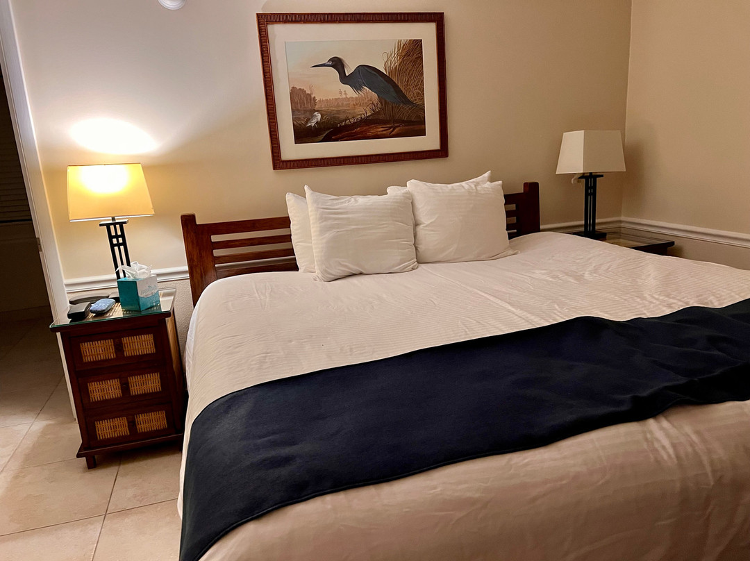 椰树棕榈树旅馆主图