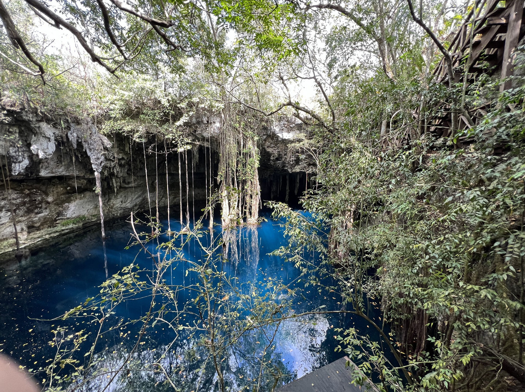 Experiencia Privada en Cenote Exclusivo景点图片