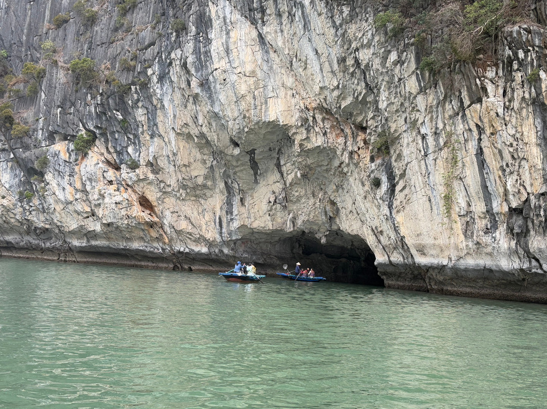 Cua Van Floating Village-下龙湾必去景点